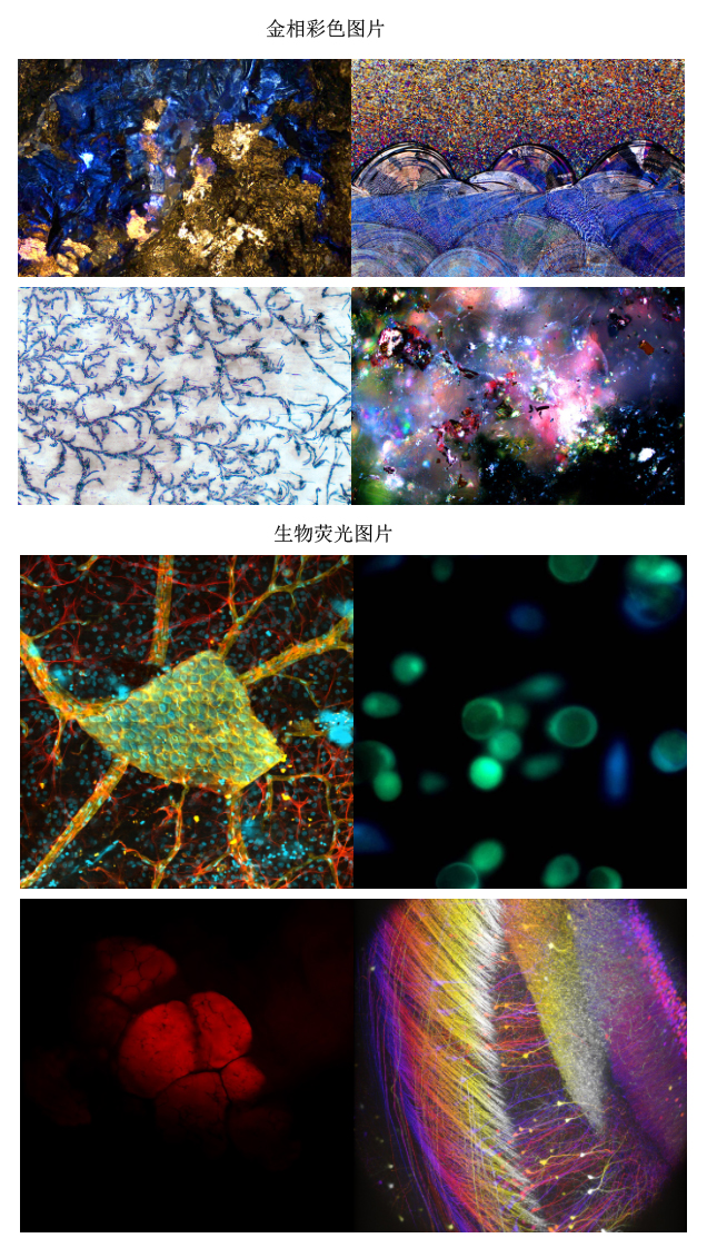 工業(yè)相機(jī)2.jpg 工業(yè)相機(jī)2.jpg